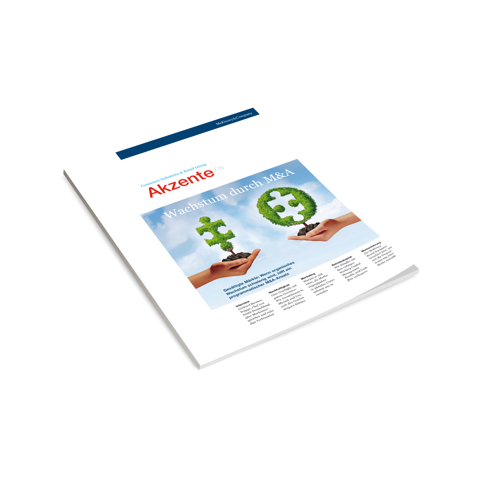 Akzente 1 / 2015 | Germany | McKinsey & Company